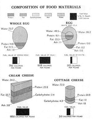 [Illustration: Composition of food materials]